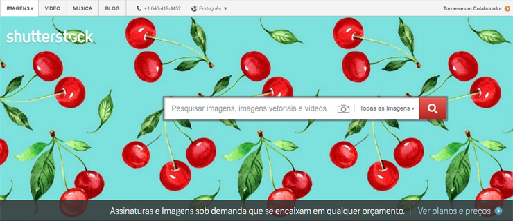 shutterstock