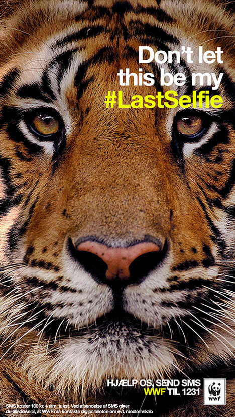 WWF-lastselfie-dk-tiger